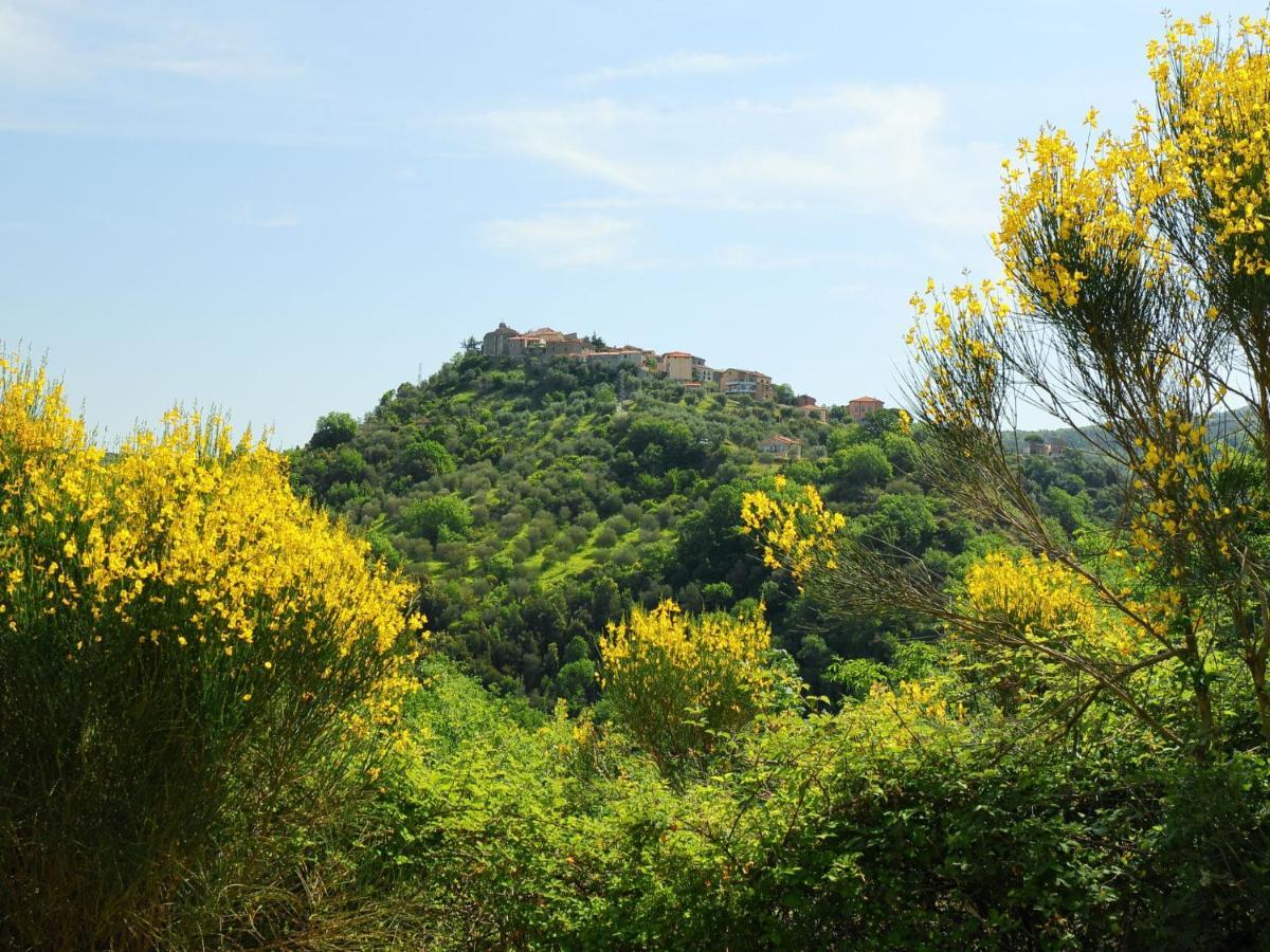 Villa Locazione Turistica Poggio Velluto Seggiano Esterno foto